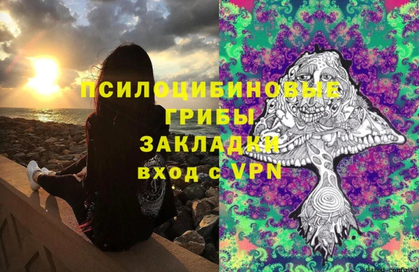 MESCALINE Бородино